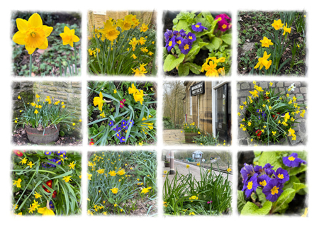 A montage of flowers at the station in 2024